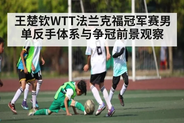王楚钦WTT法兰克福冠军赛男单反手体系与争冠前景观察